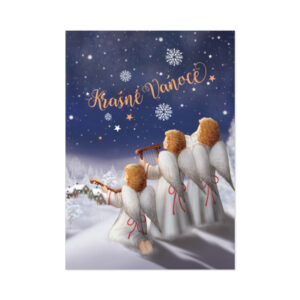 Hrací přání - Zimní víla Albi