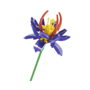 Květinová stavebnice - Krokus NICE SRL