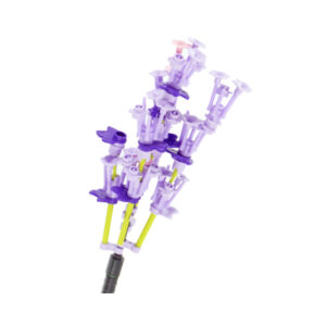 Květinová stavebnice - Levandule NICE SRL