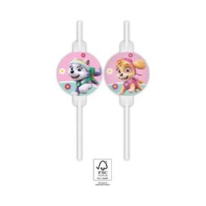 Brčka Tlapková patrola Skye 4 ks Albi