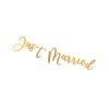 Banner Just Married Albi - Image 2
