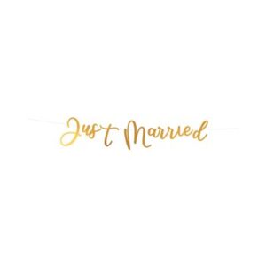 Banner Just Married Albi