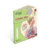 Kniha Lidské tělo Albi - Obrázek 3