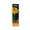 Květinová stavebnice - Dahlia (Jiřina) NICE SRL - Image 2