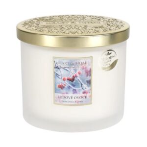 Svíčka elipsa - Ledové ovoce Albi