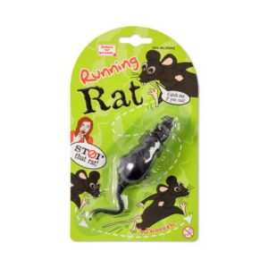 Běžící krysa Albi