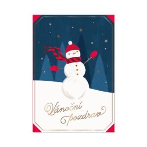 Vánoční přání - Sněhulák s kulichem a šálou Albi