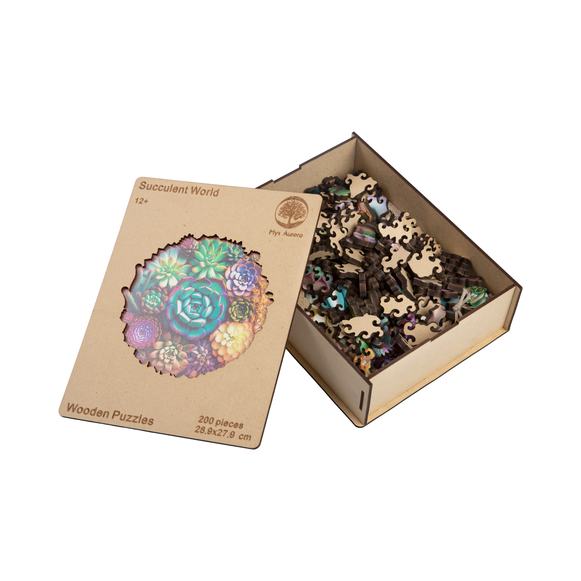 3D dřevěné puzzle - Sukulenty Albi - Obrázek 3