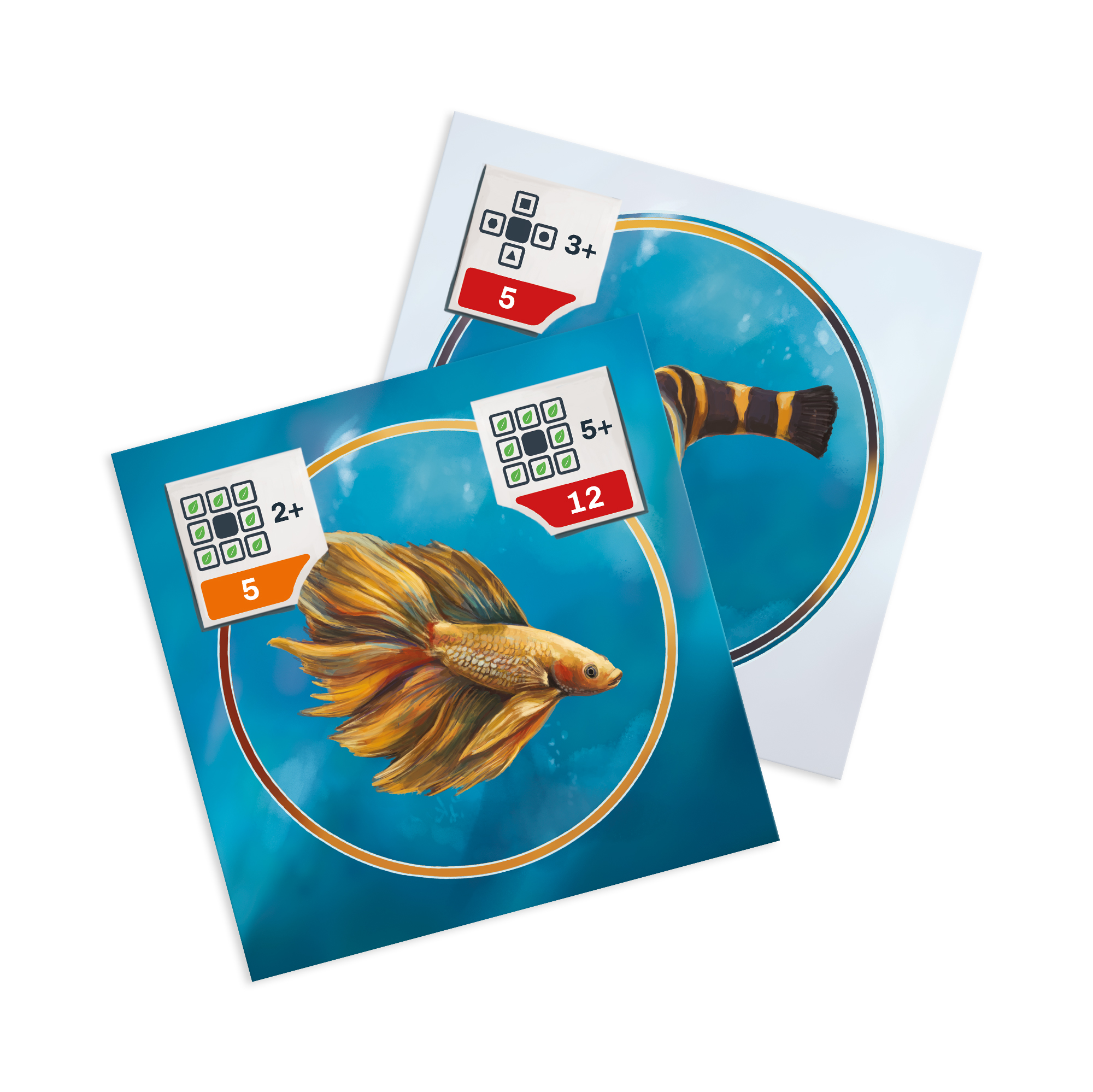 Akvárko Albi - Obrázek 3