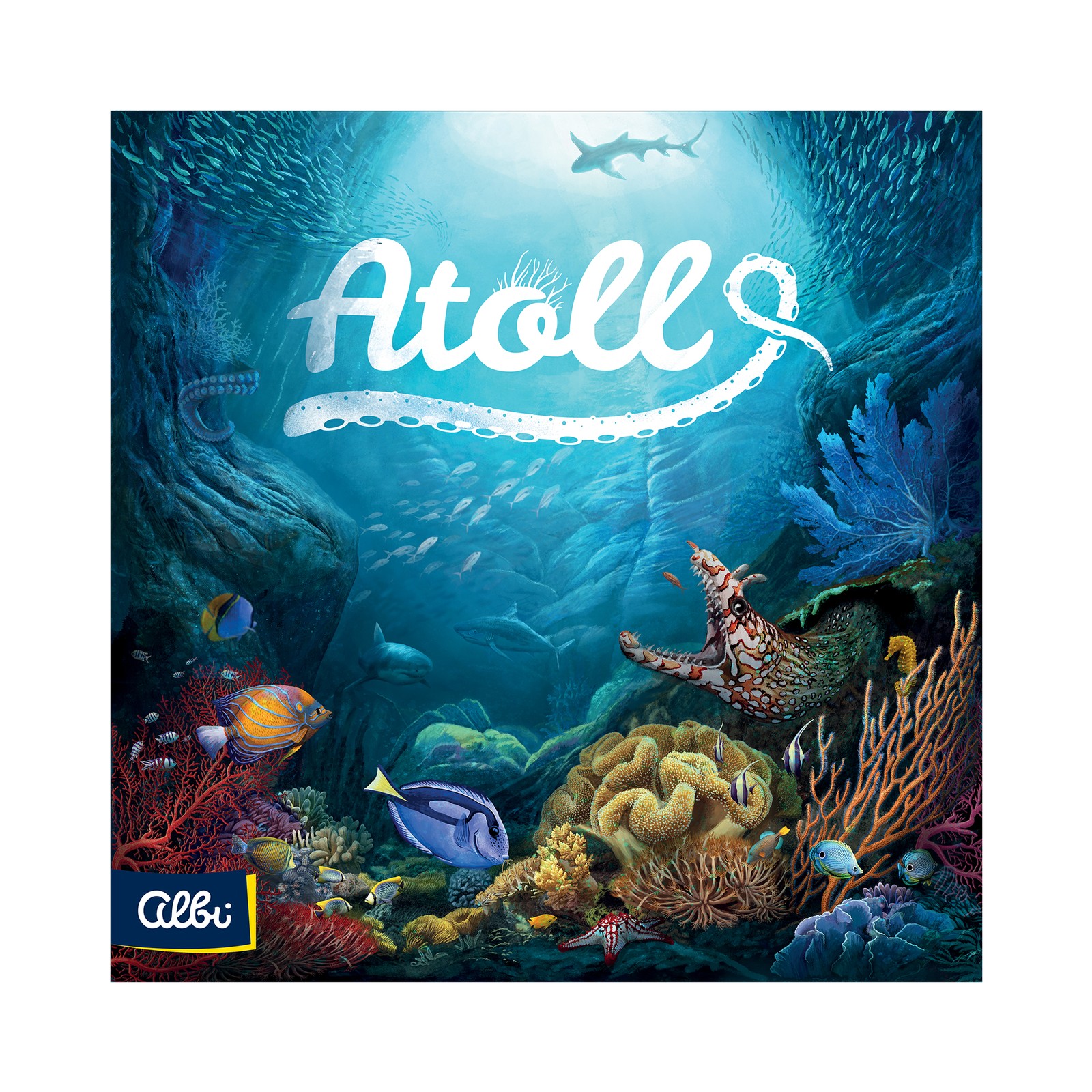 Atoll EN Albi - Obrázek 2