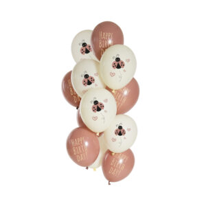 Balónky latexové Narozeniny Beruška 12 ks Albi