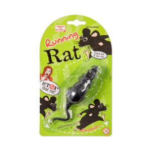 Běžící krysa Albi