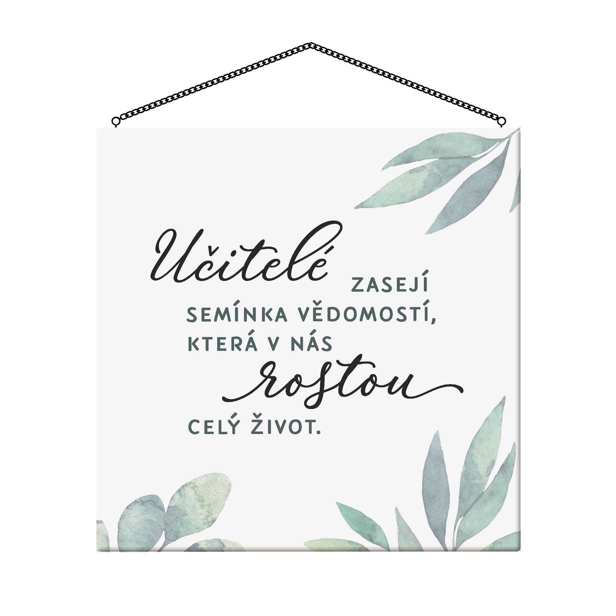 Cedulka - Učitelé Albi