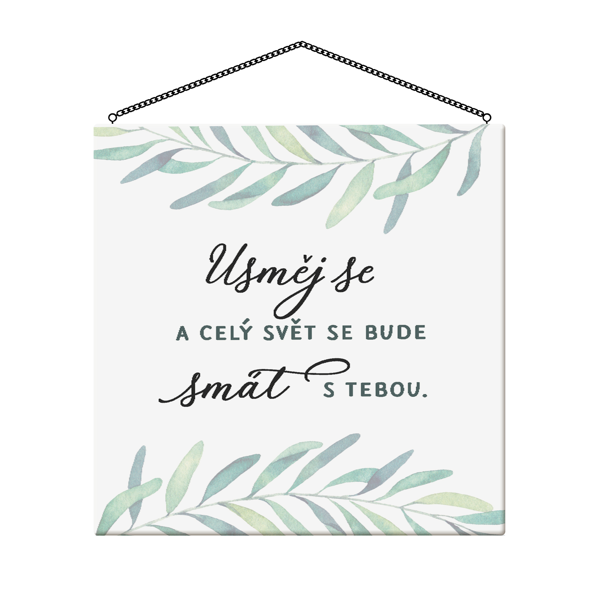 Cedulka - Usměj se Albi