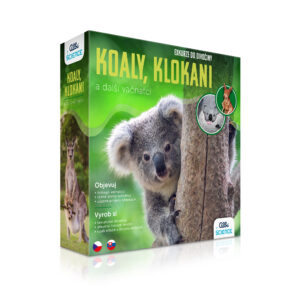 Exkurze do divočiny - Koaly