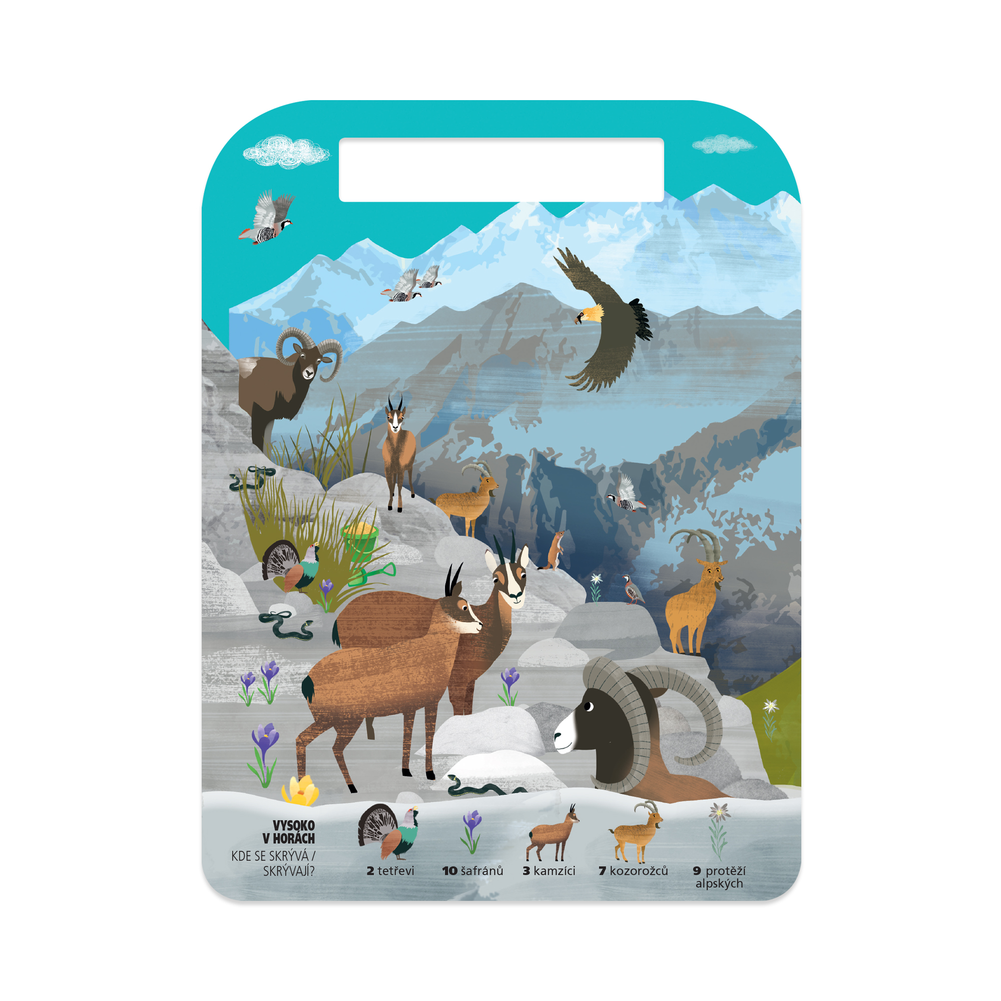 Hledej a najdi: Zvířátka z hor - Kvído Albi - Obrázek 3