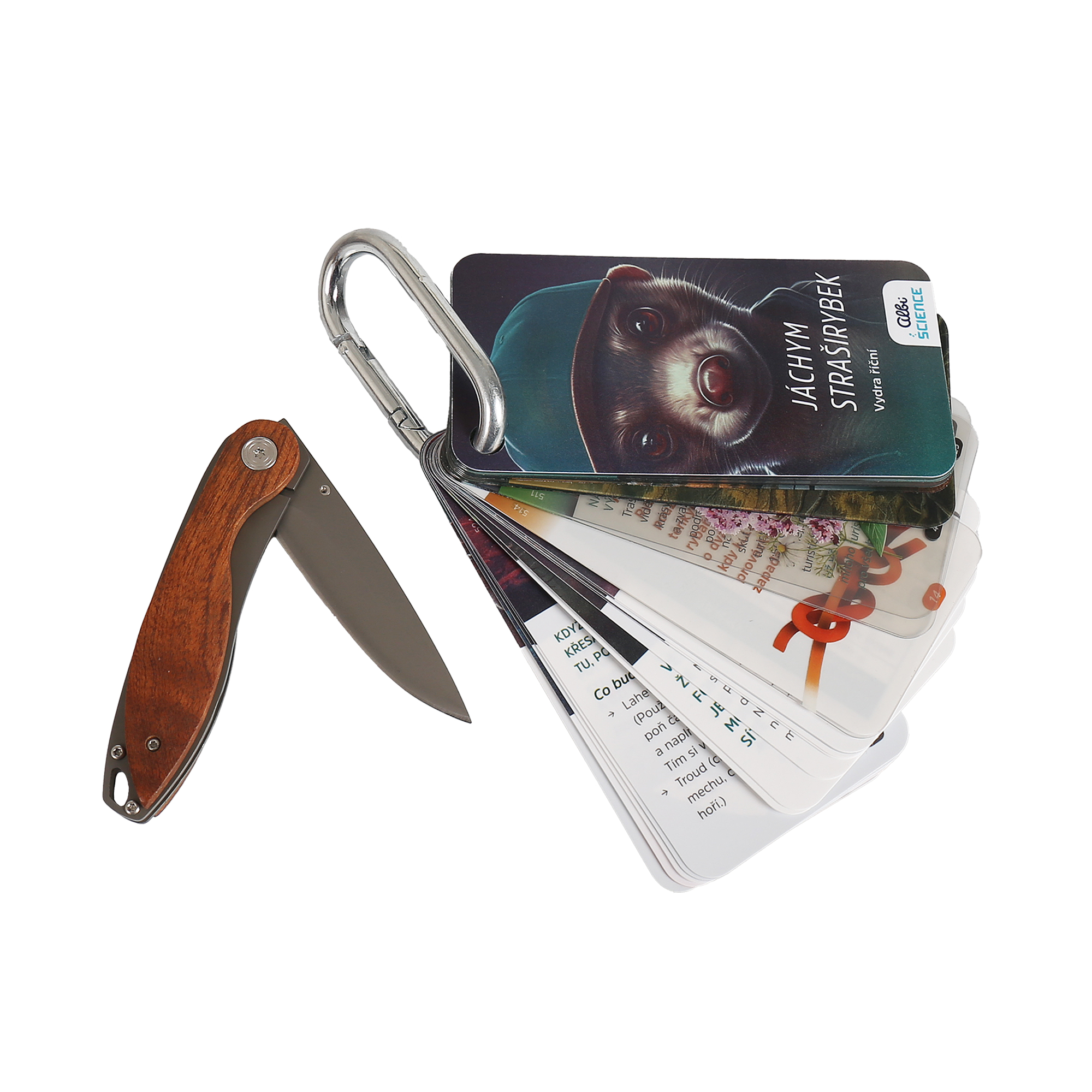 Krabička pravého dobrodruha - Na túru Albi - Obrázek 3