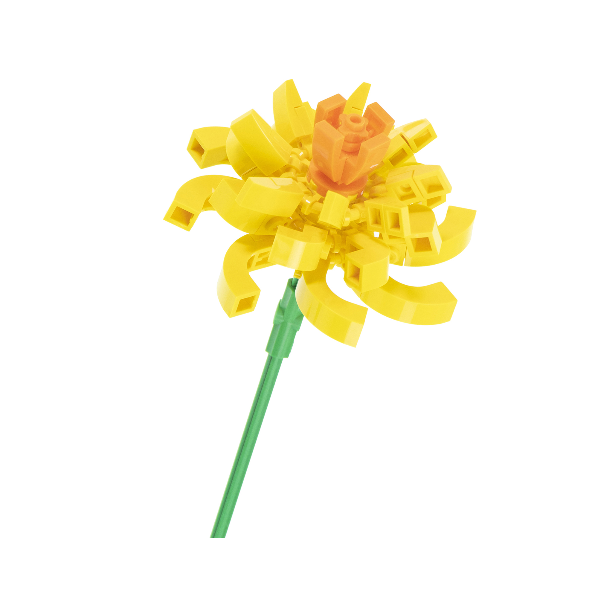 Květinová stavebnice - Dahlia (Jiřina) NICE SRL