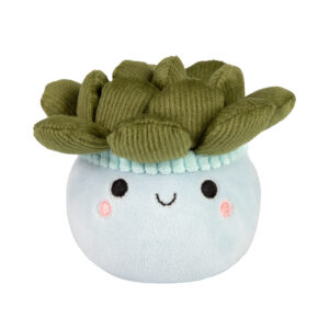 Malá plyšová květina - Sukulent Albi