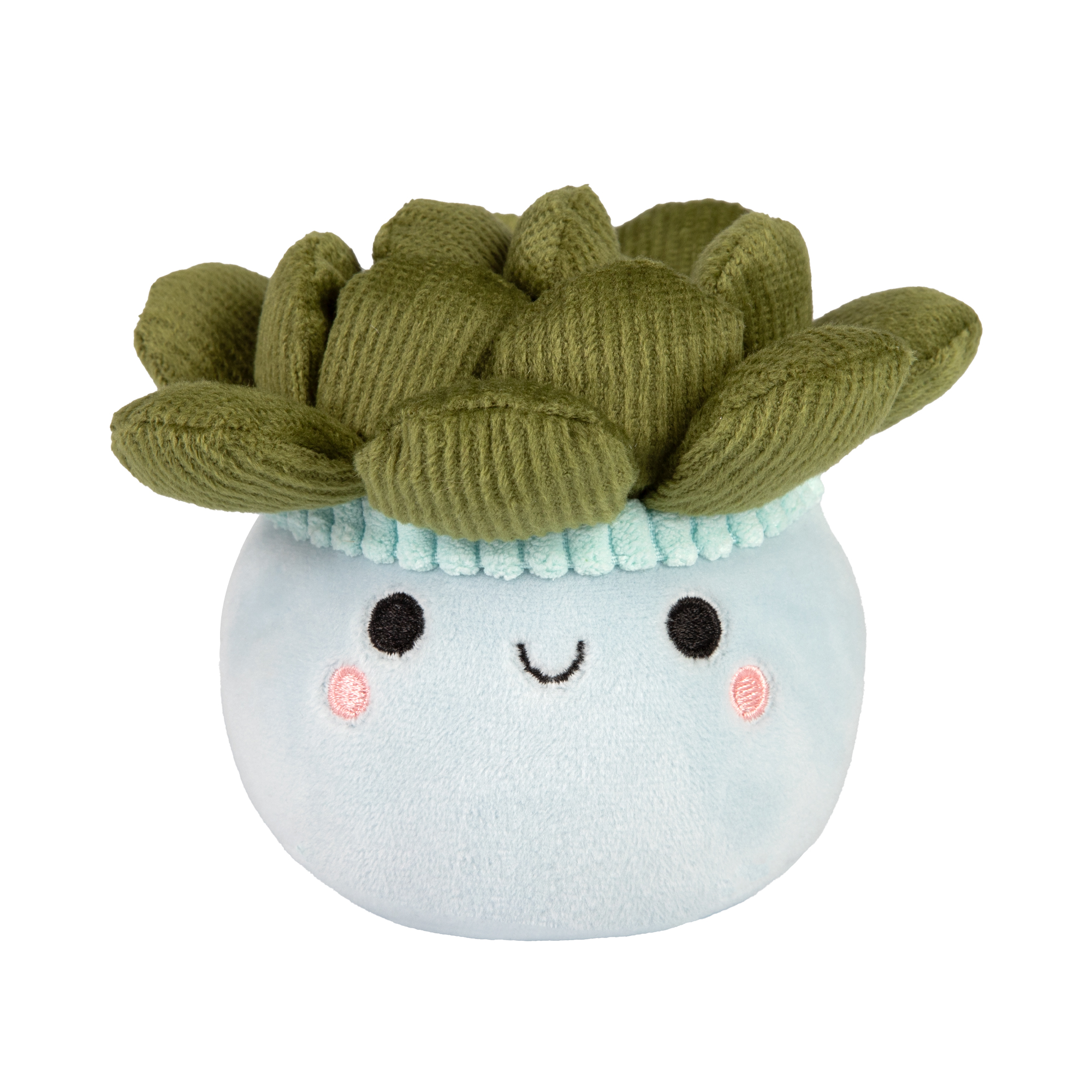 Malá plyšová květina - Sukulent Albi