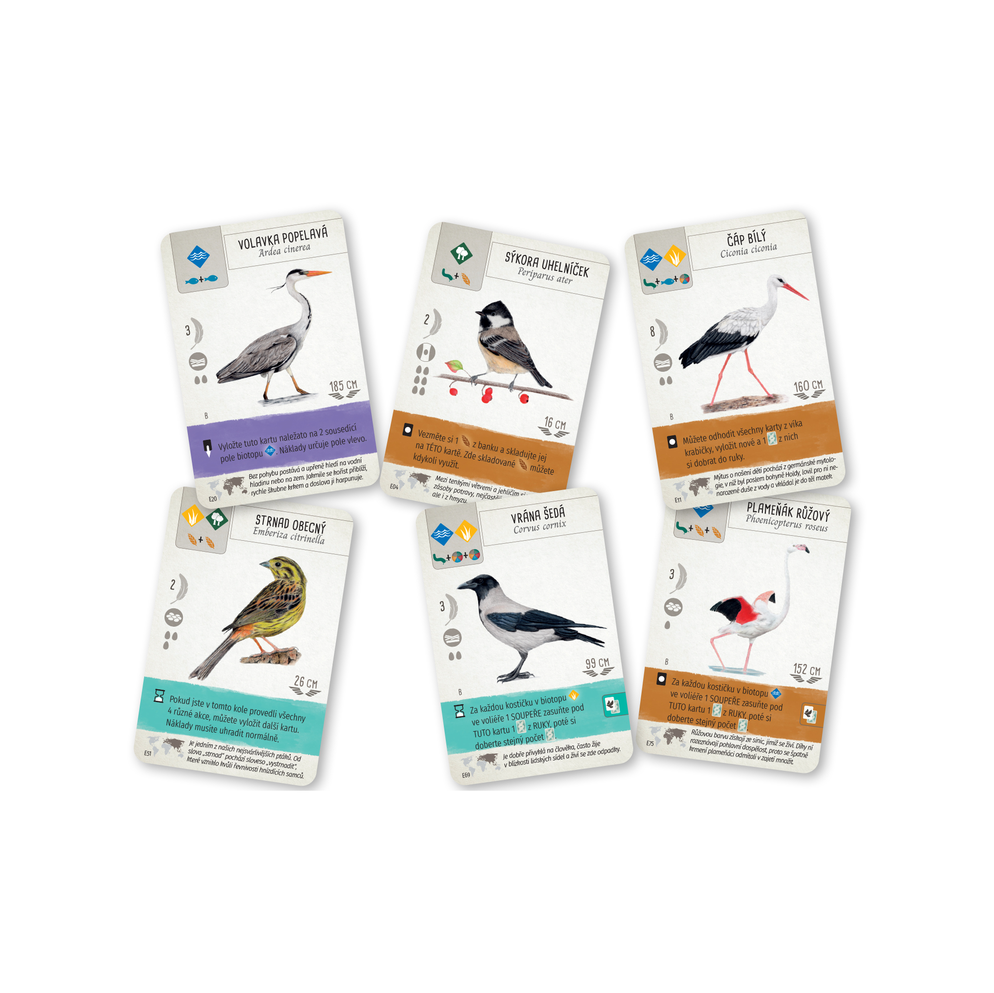 Na křídlech - Perutě Evropy Mindok - Obrázek 3