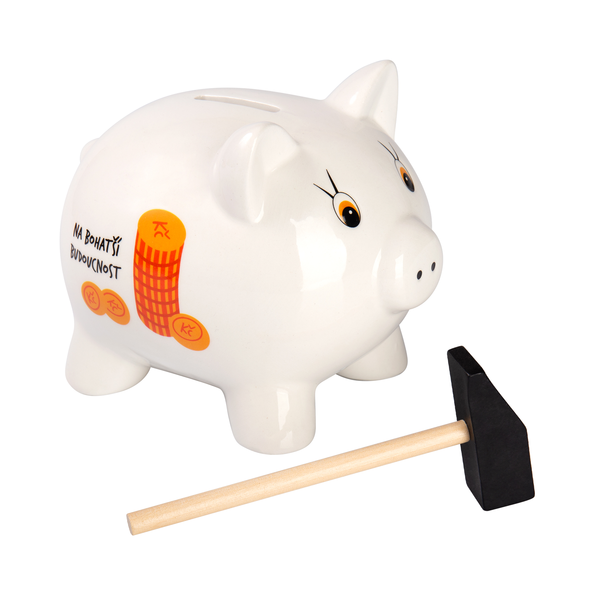 Pokladnička - Bohatší budoucnost Albi