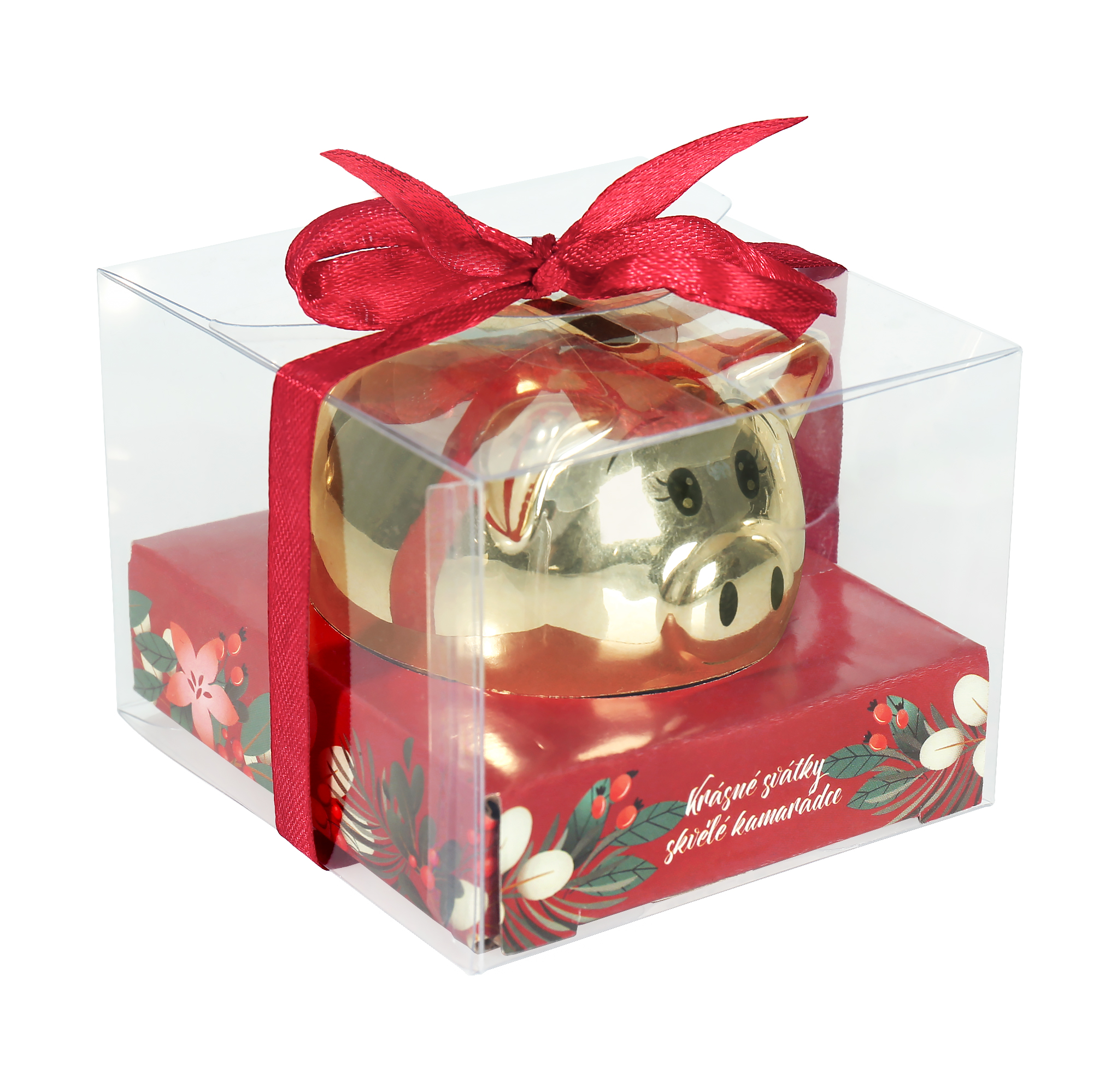 Pokladnička prasátko - Kamarádce Albi