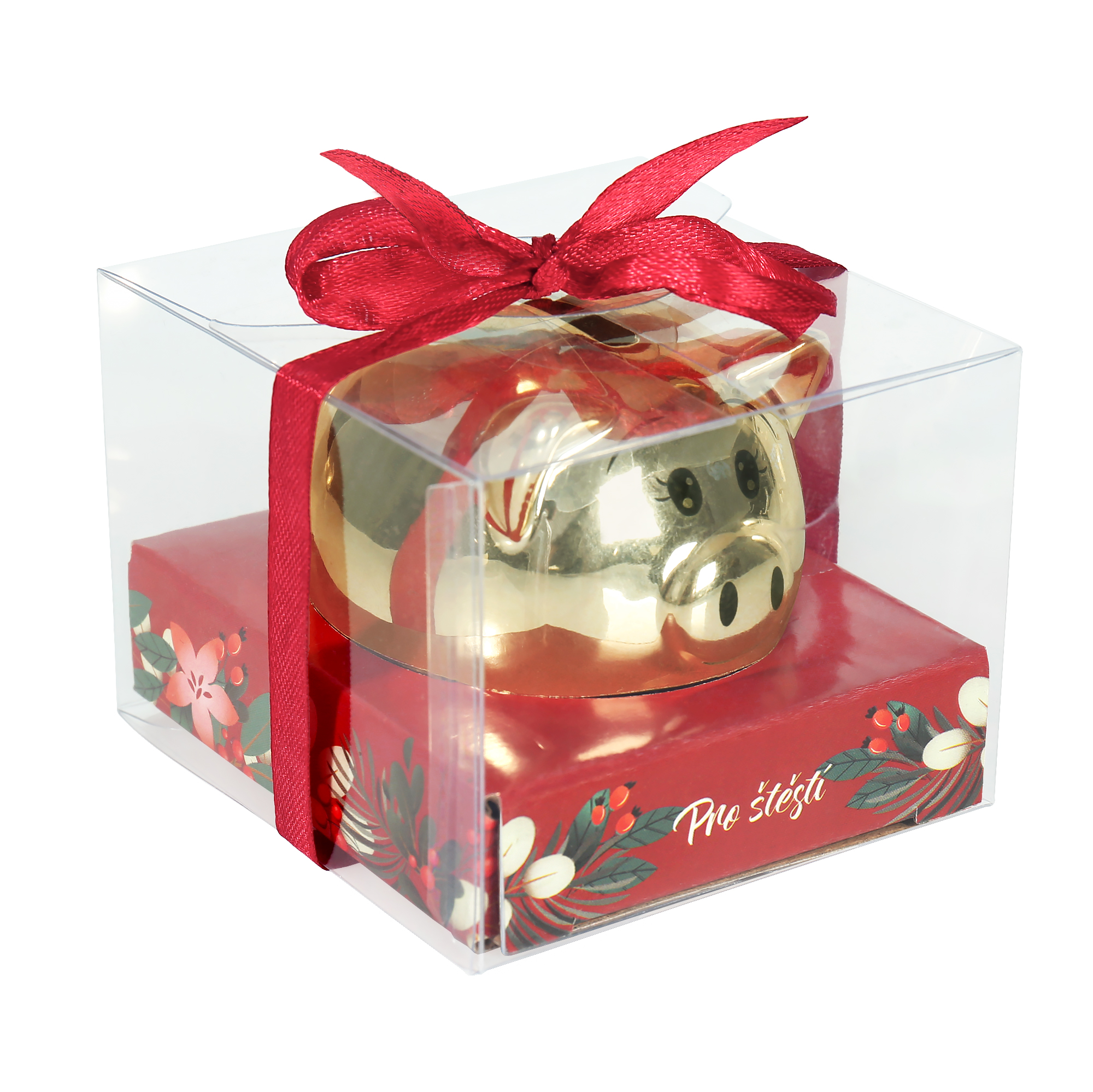 Pokladnička prasátko - Pro štěstí Albi