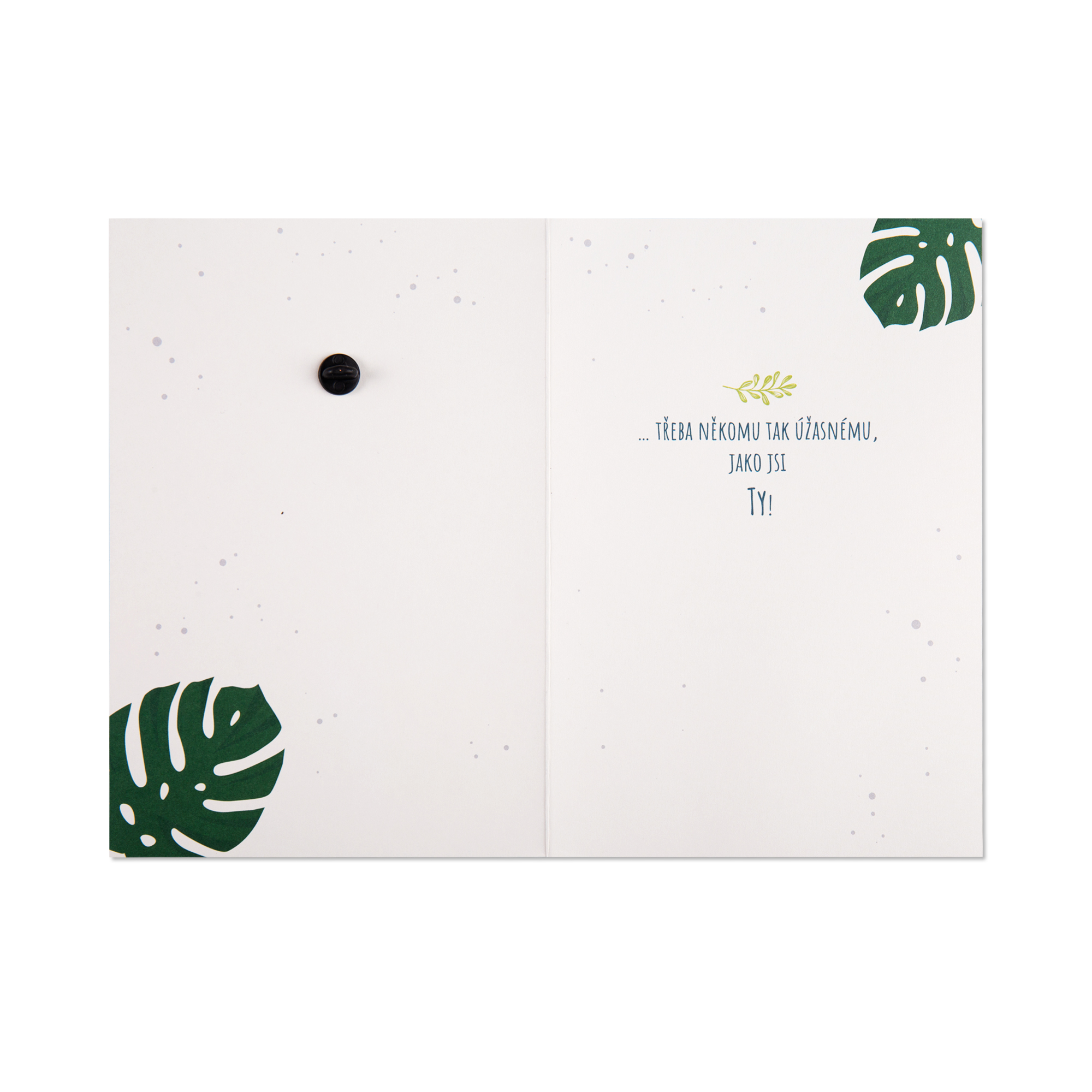 Přání s broží - List Albi - Obrázek 2