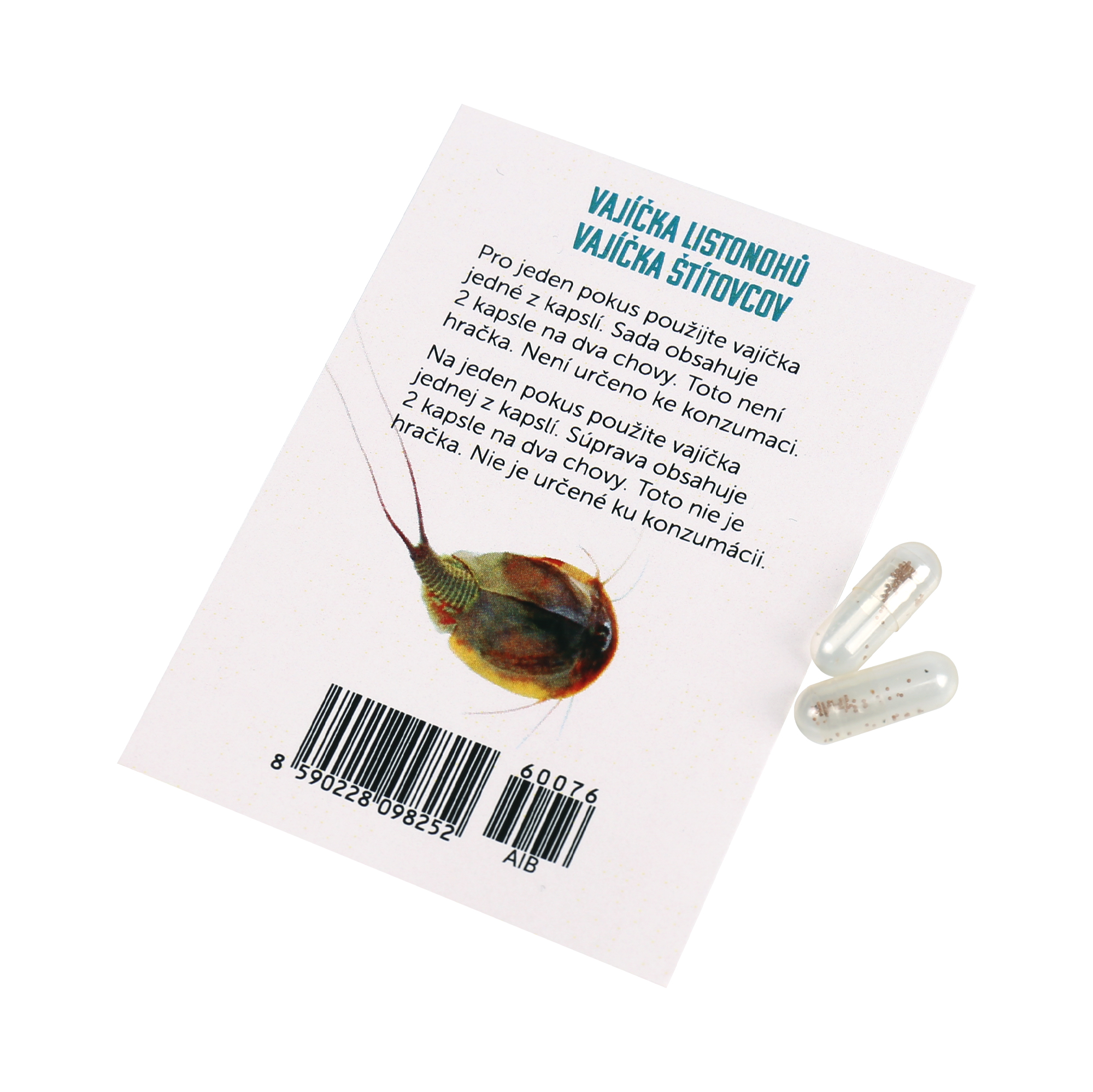 Pravěké akvárium - vajíčka listonohů Albi