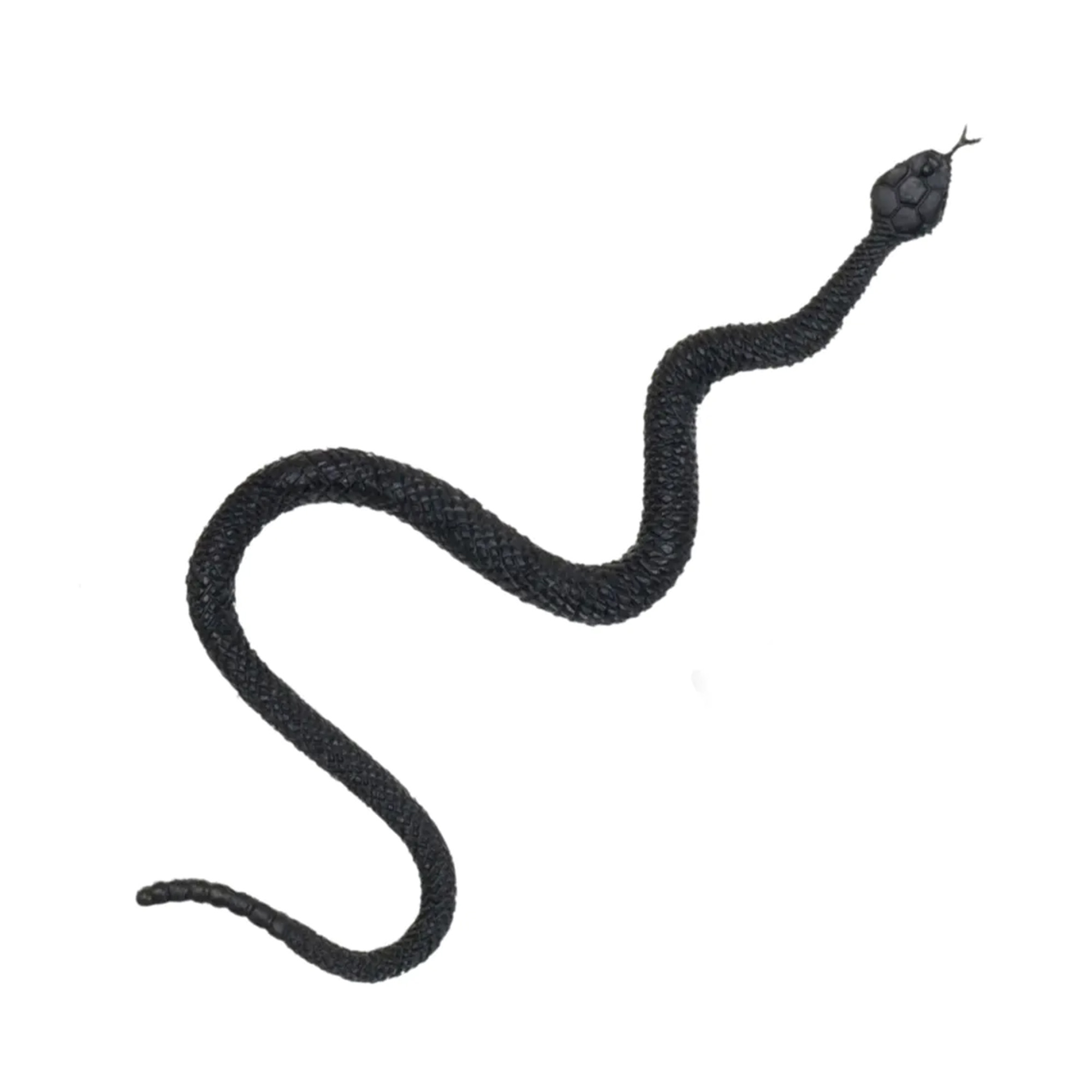 Set Děsivý hmyz 6 ks Albi - Obrázek 3