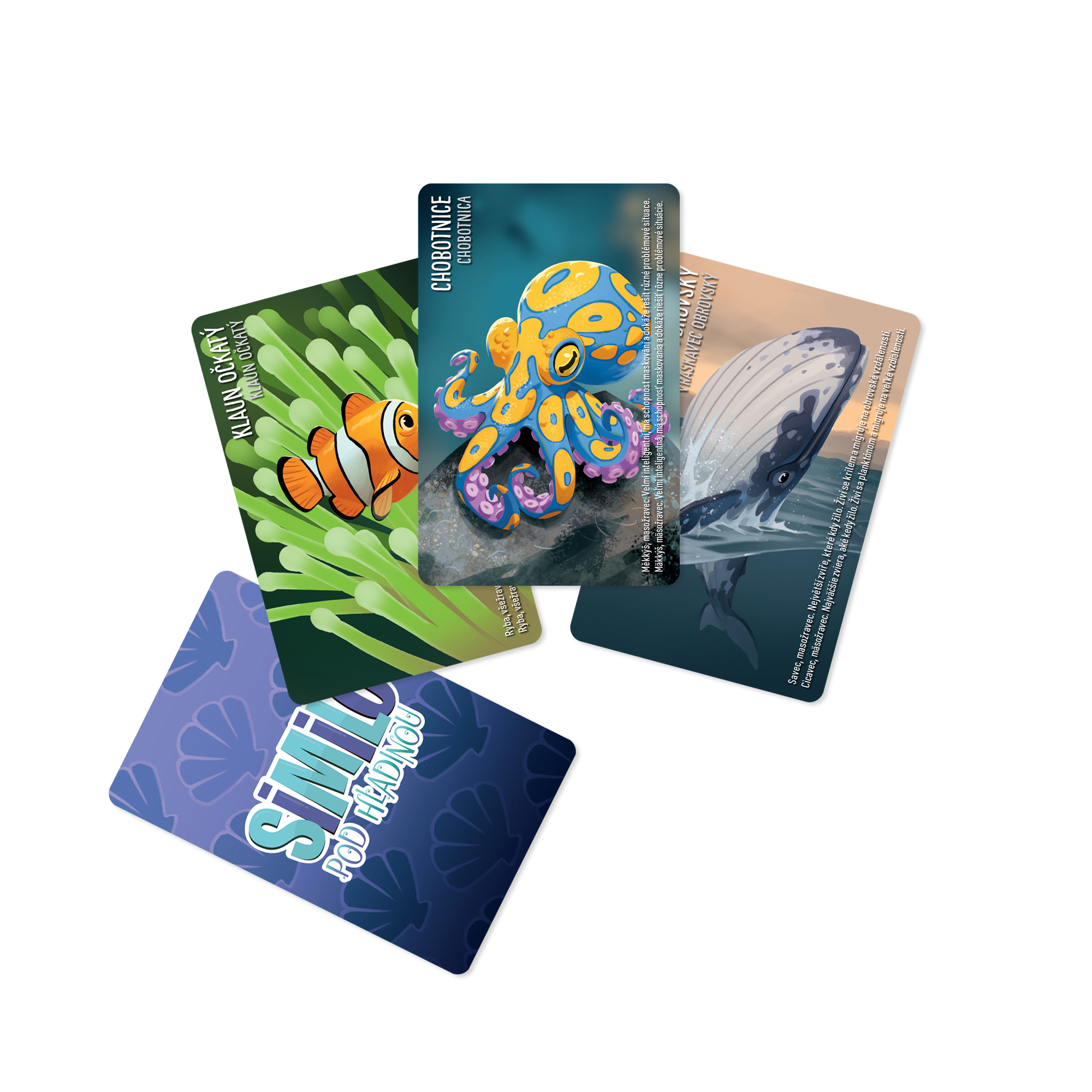 Similo - Pod hladinou Albi - Obrázek 3