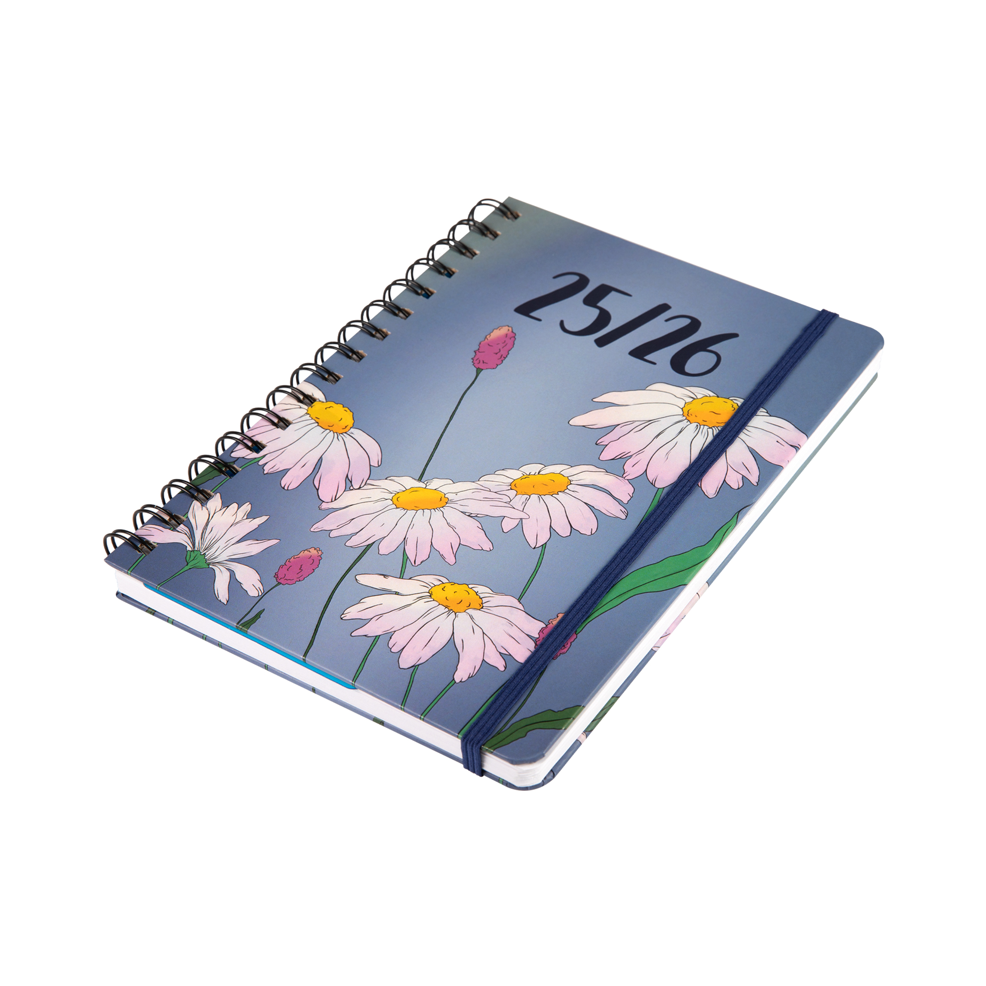 Studentský diář - Kopretiny Albi - Obrázek 2