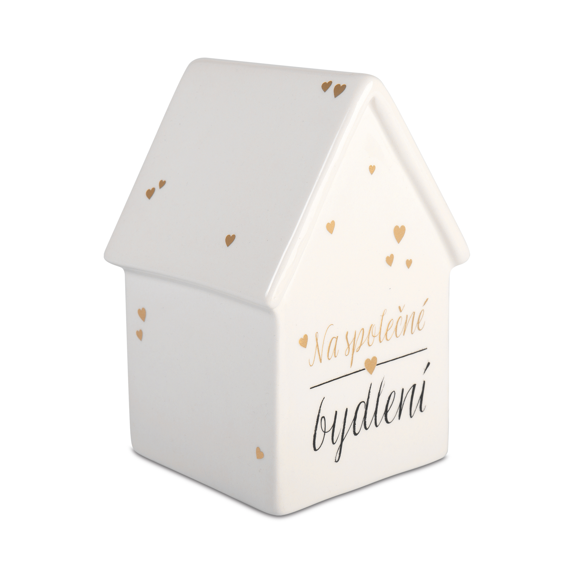 Svatební pokladnička - Na společné bydlení Albi