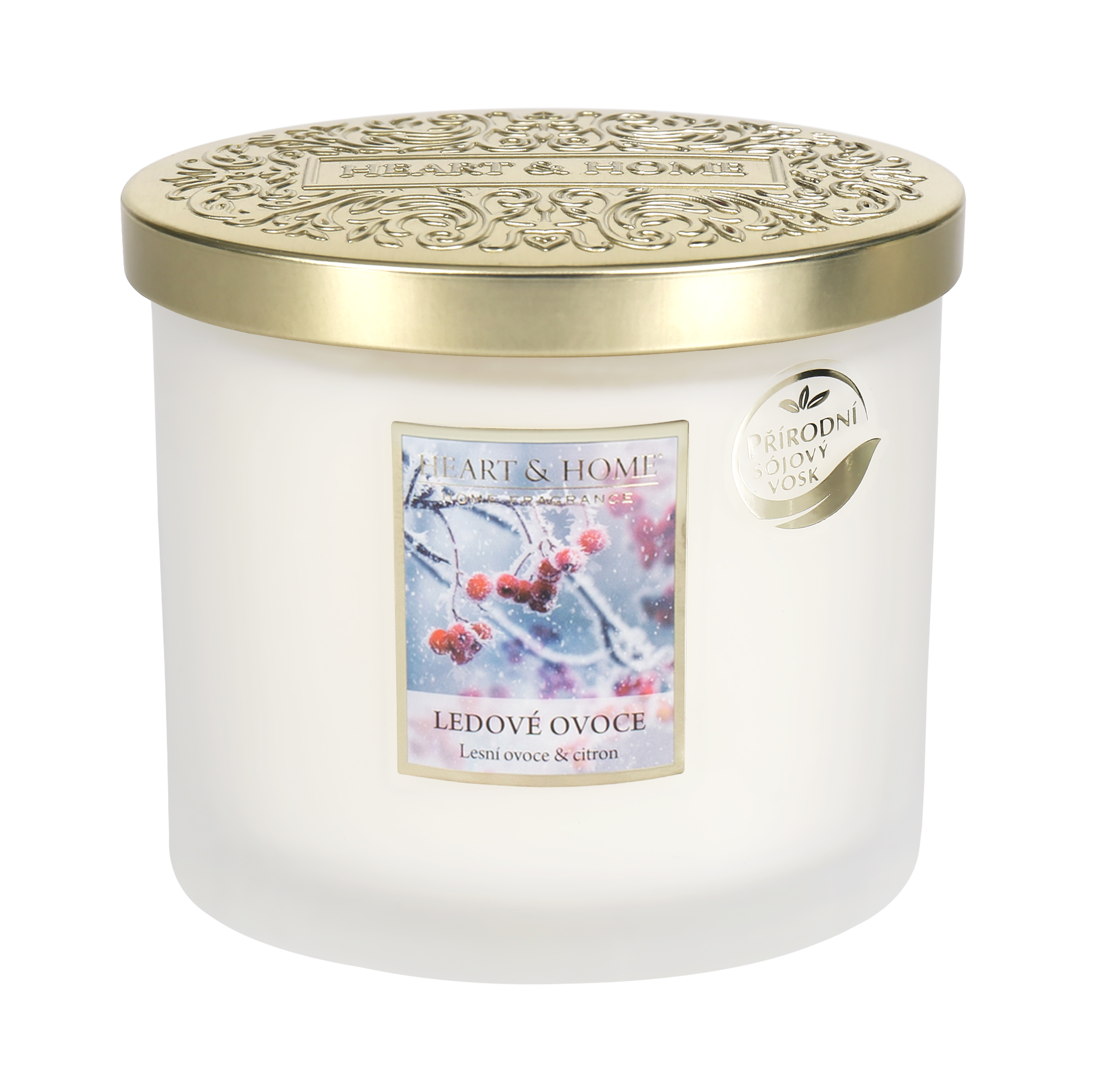 Svíčka elipsa - Ledové ovoce Albi