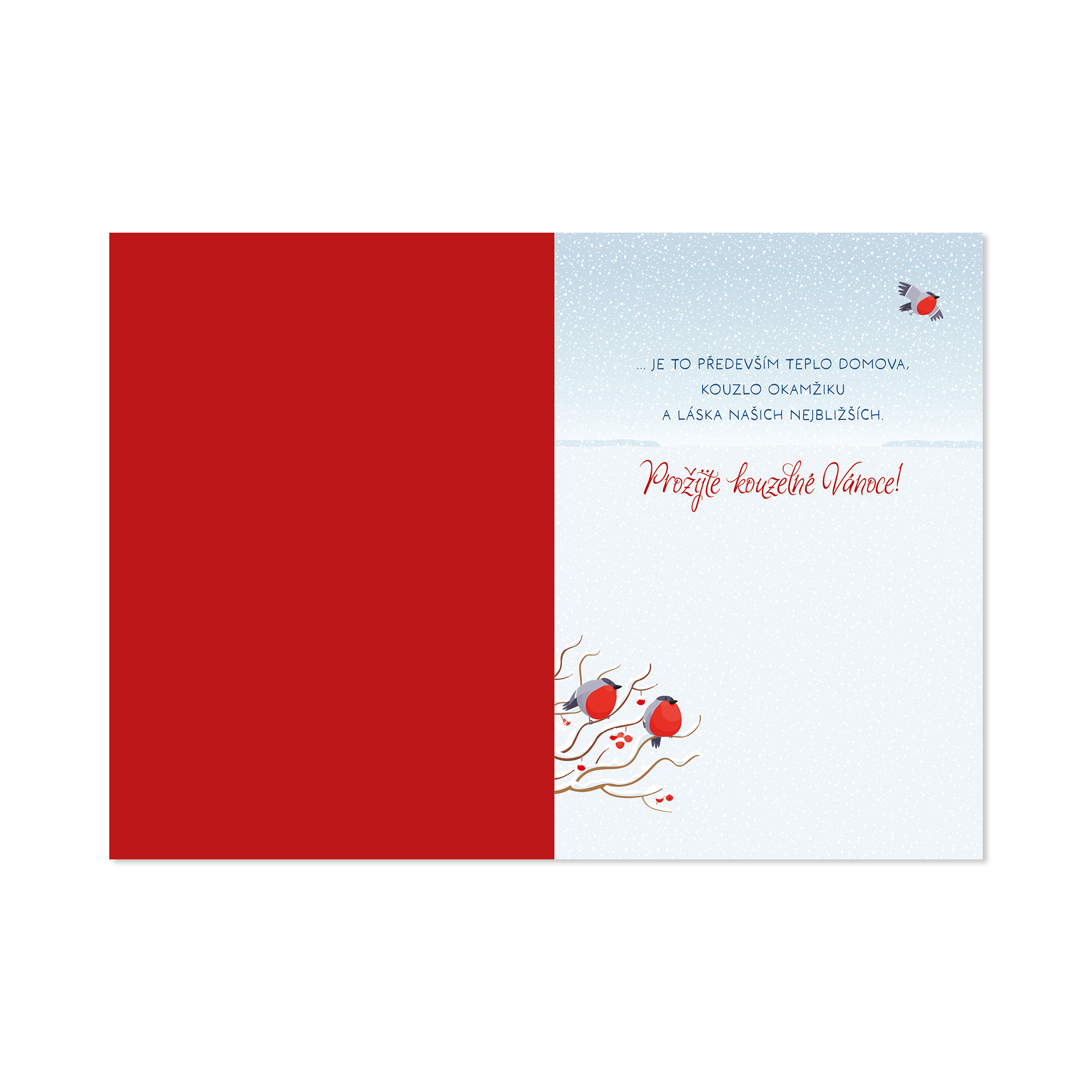 Vánoční hrací přání - Zasněžené náměstí Albi - Obrázek 2