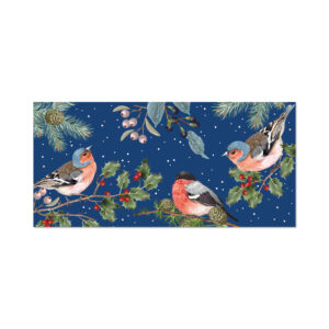 Vánoční kapsa na peníze - Ptáčci Albi