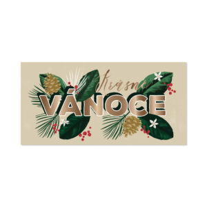Vánoční obálka na peníze - Šišky a větvičky Albi