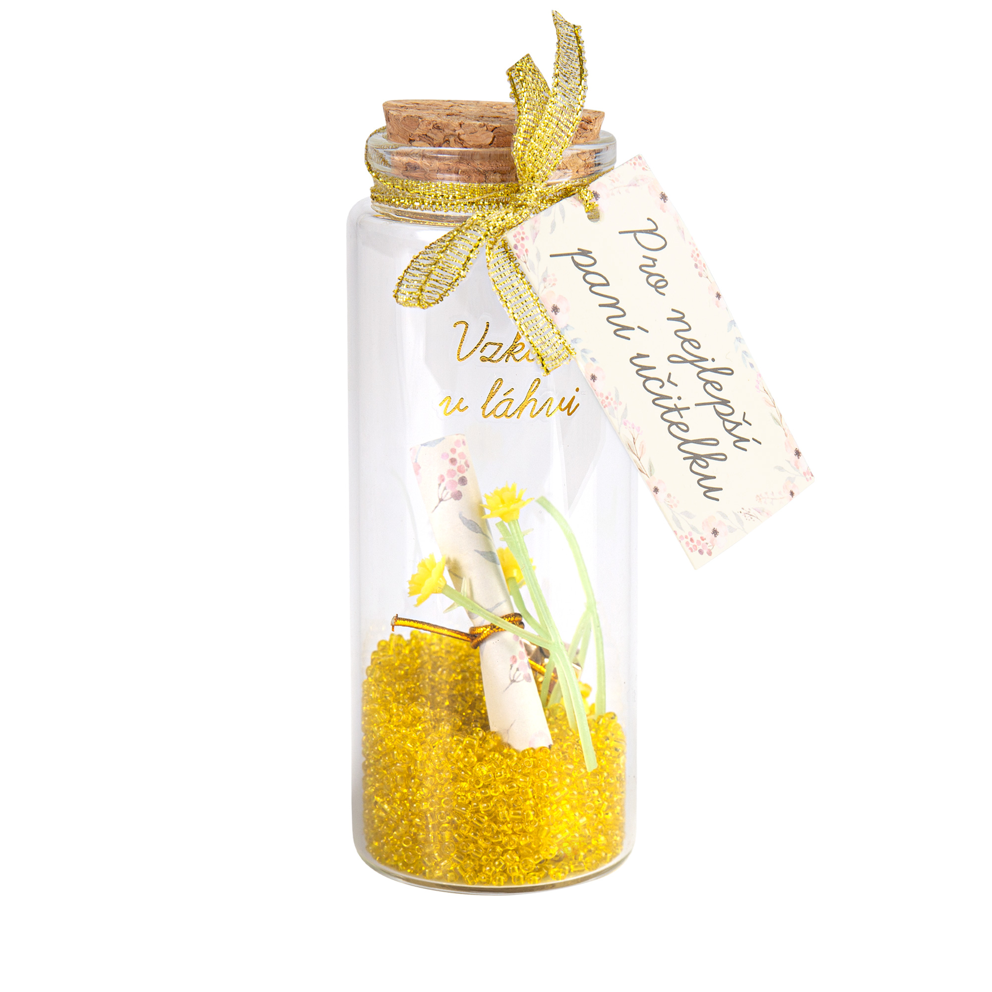 Vzkaz v láhvi - Pro paní učitelku Albi