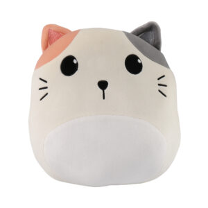 Polštář a deka - Kočka Albi