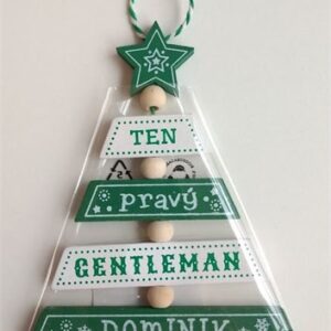 Vánoční ozdoba - Dominik Albi