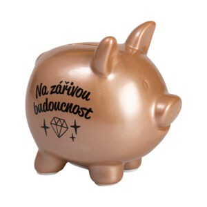 Pokladnička - Na budoucnost Albi