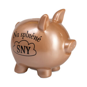 Pokladnička - Na splněné sny Albi