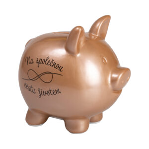 Pokladnička - Na společnou cestu Albi