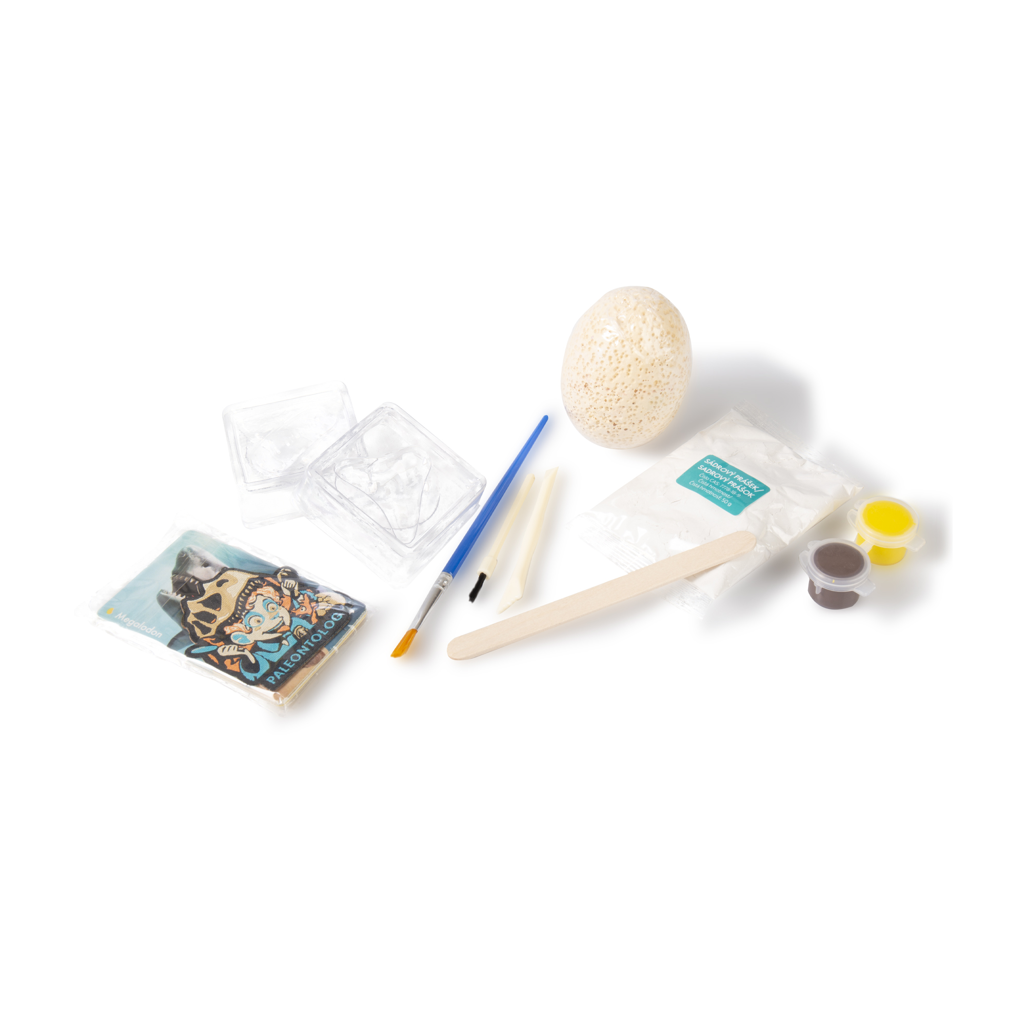 I ty můžeš být paleontolog Albi - Obrázek 2