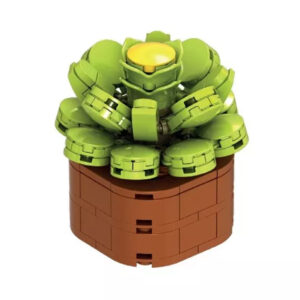 Květinová stavebnice Exotic - Eonium kanárské NICE SRL