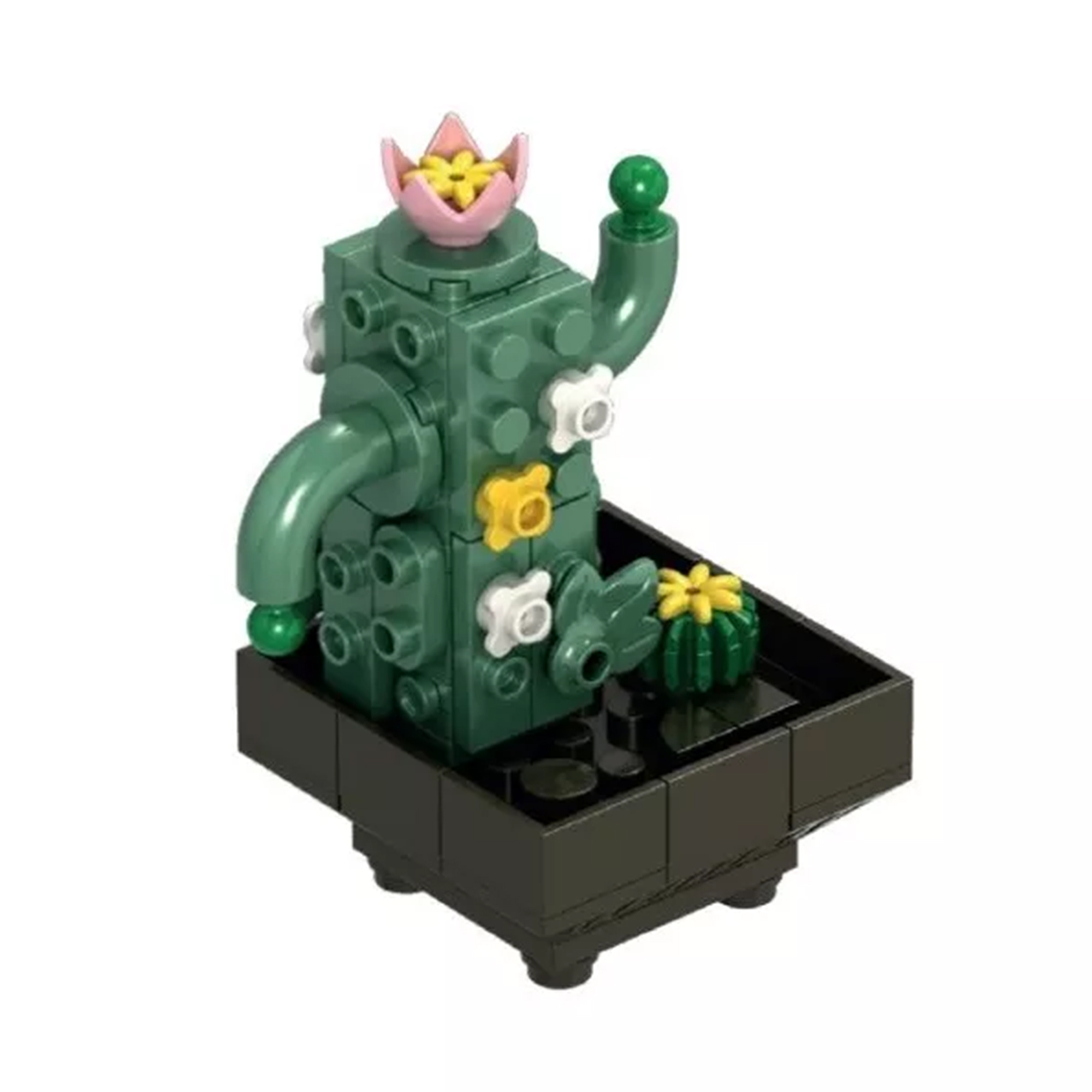 Květinová stavebnice Exotic - Kaktus NICE SRL