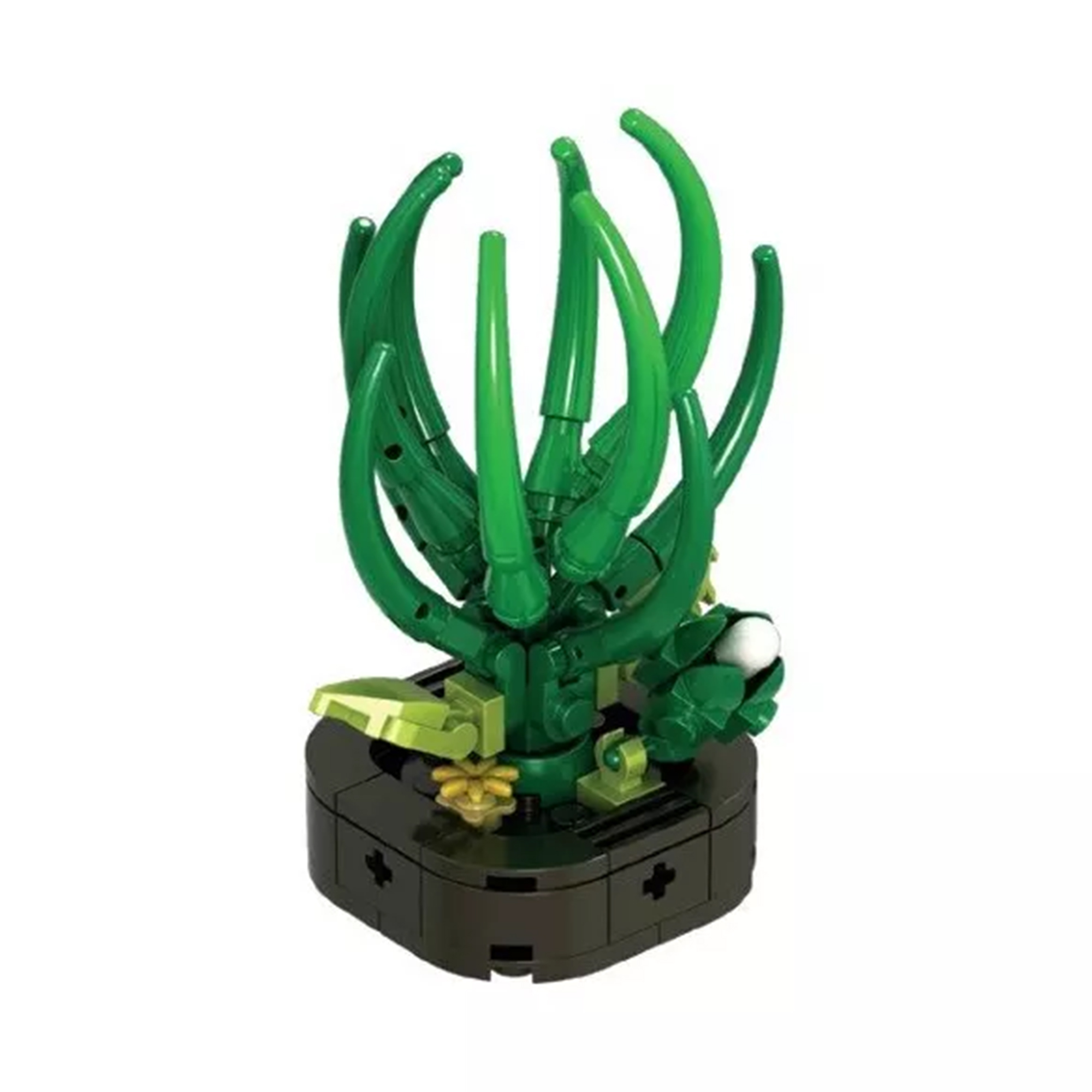 Květinová stavebnice Exotic - Kapská hvězda NICE SRL