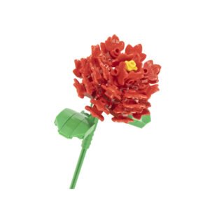 Květinová stavebnice - Karafiát NICE SRL