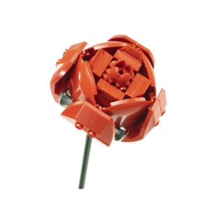 Květinová stavebnice - Růže NICE SRL